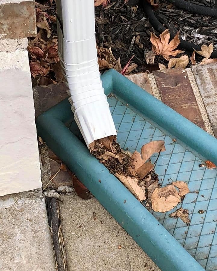 downspouts_clogged
