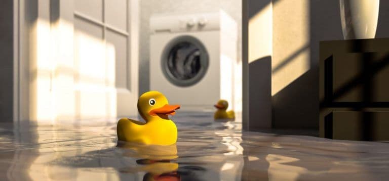 BlueSprings_Location_wet_basement_problem